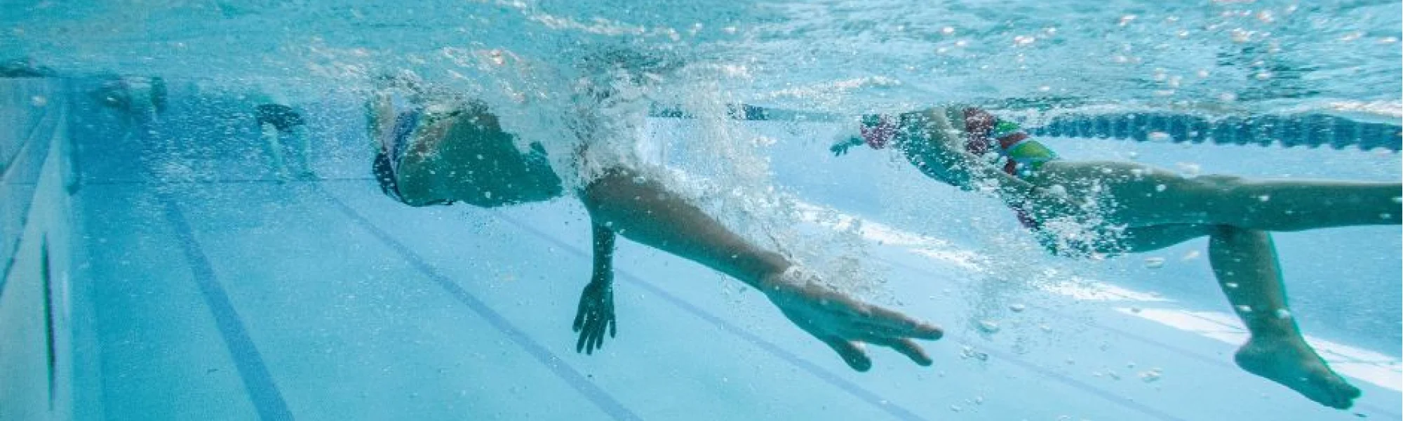 1 plongeon, 4 nages !