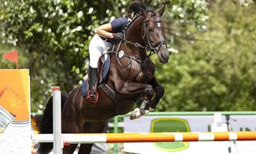 equitation academy macon 8 17 ans